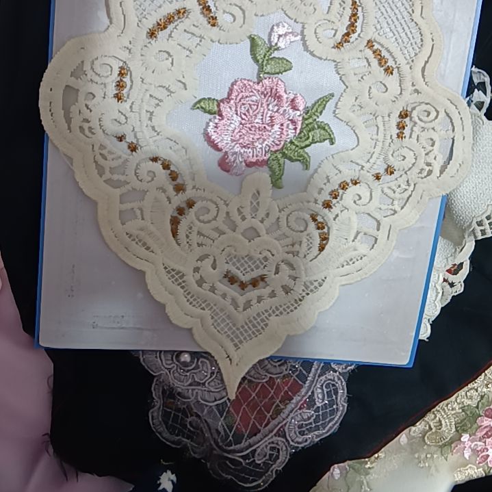 10个刺绣花边辅料装饰