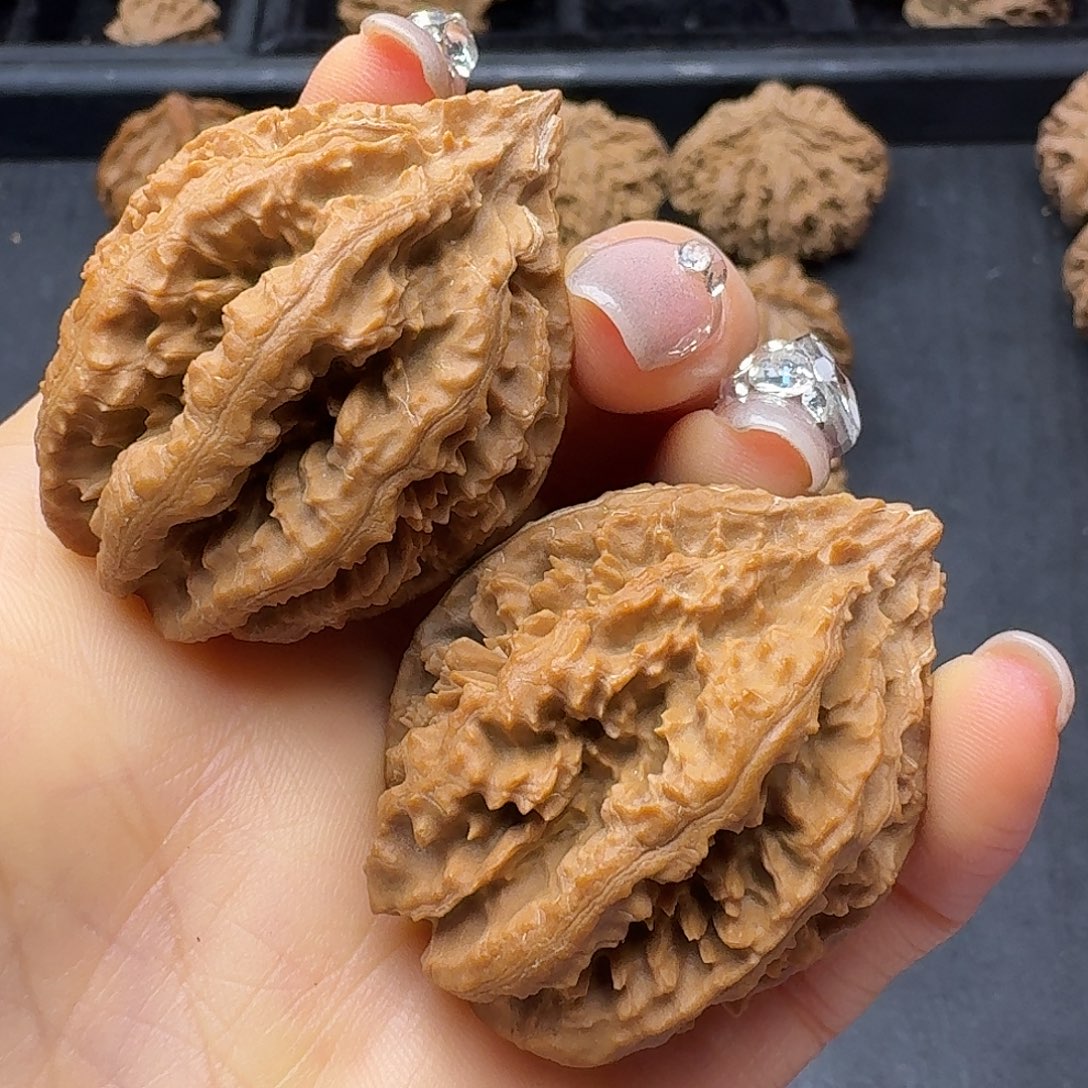 桃木突突突突突突突