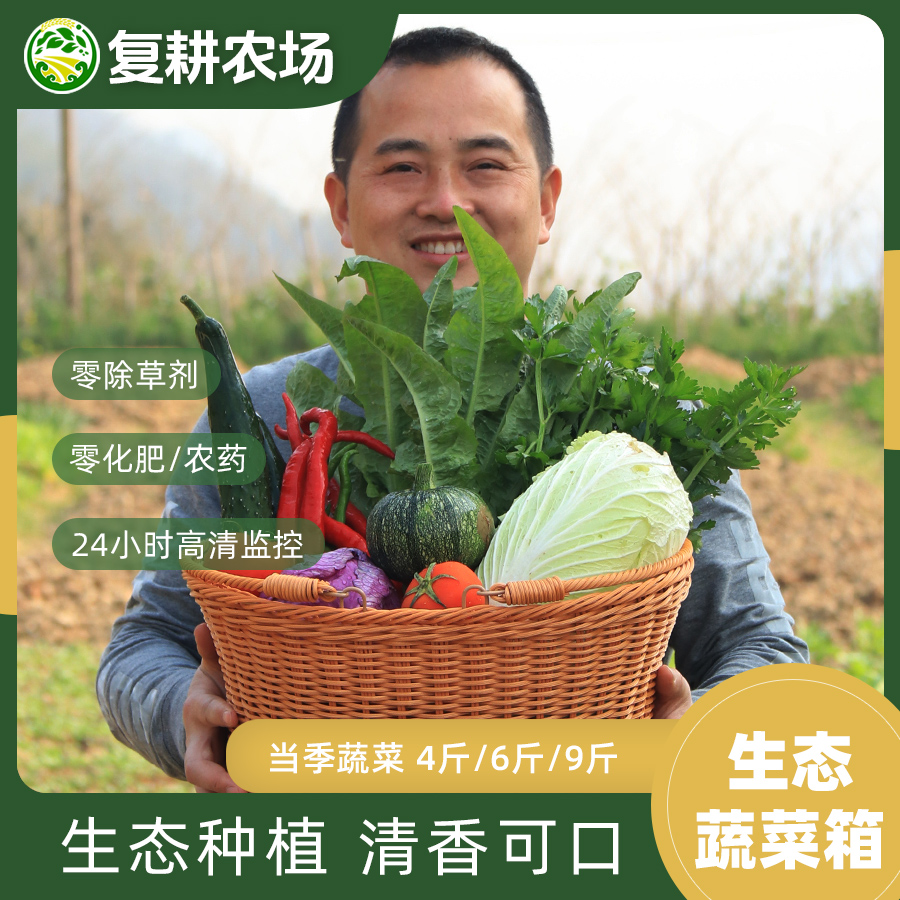 湖南复耕农场生态有机应季蔬菜 包年 周1次/2次 每次4斤/6斤/9斤