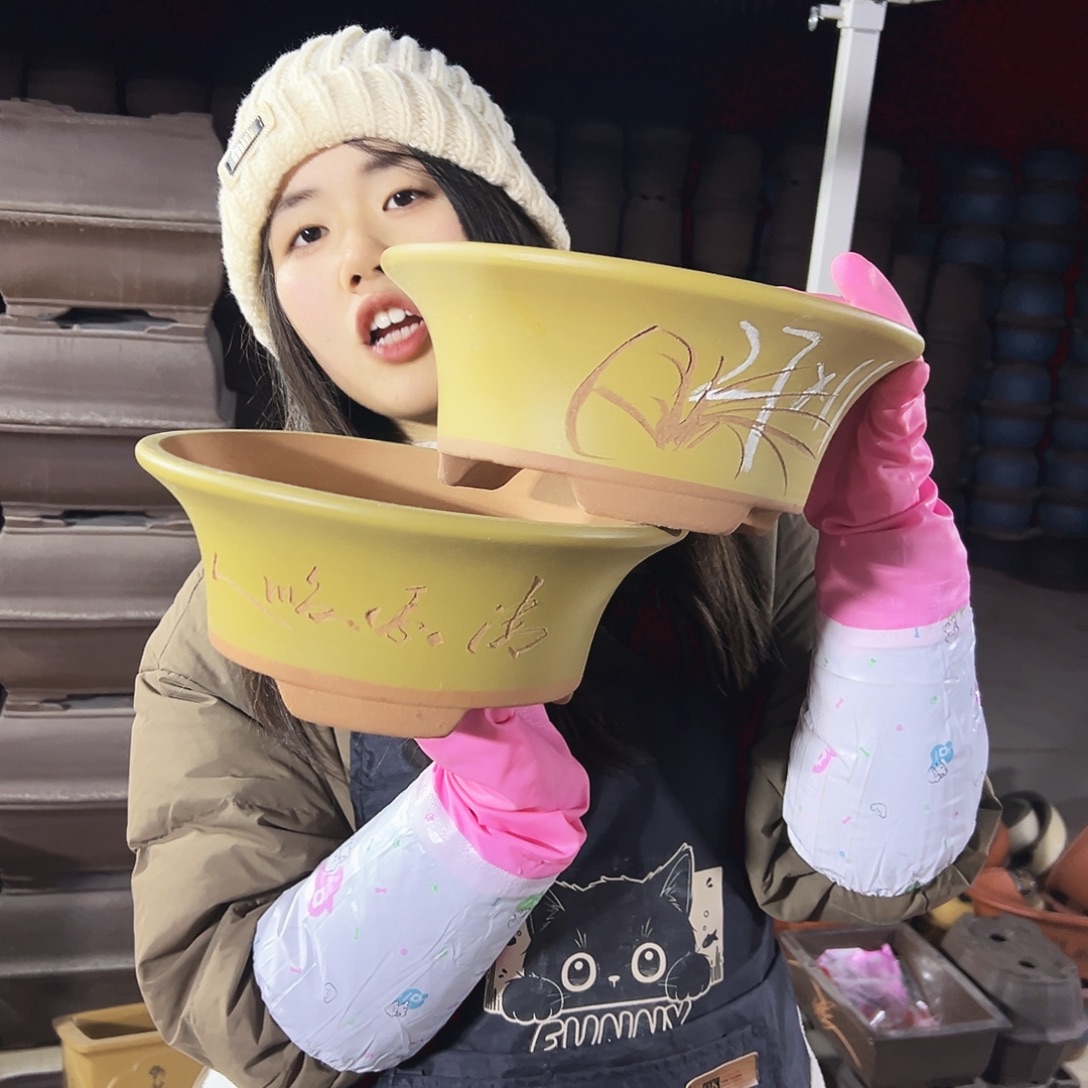 27+27黄票口花盆花盆