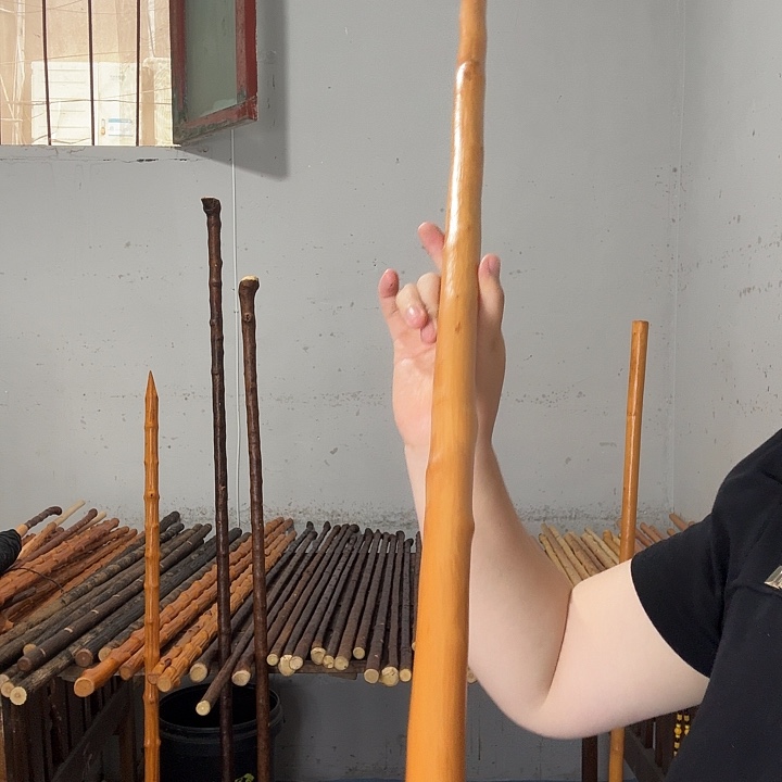 香***兰秦岭石山红荀子鞭杆