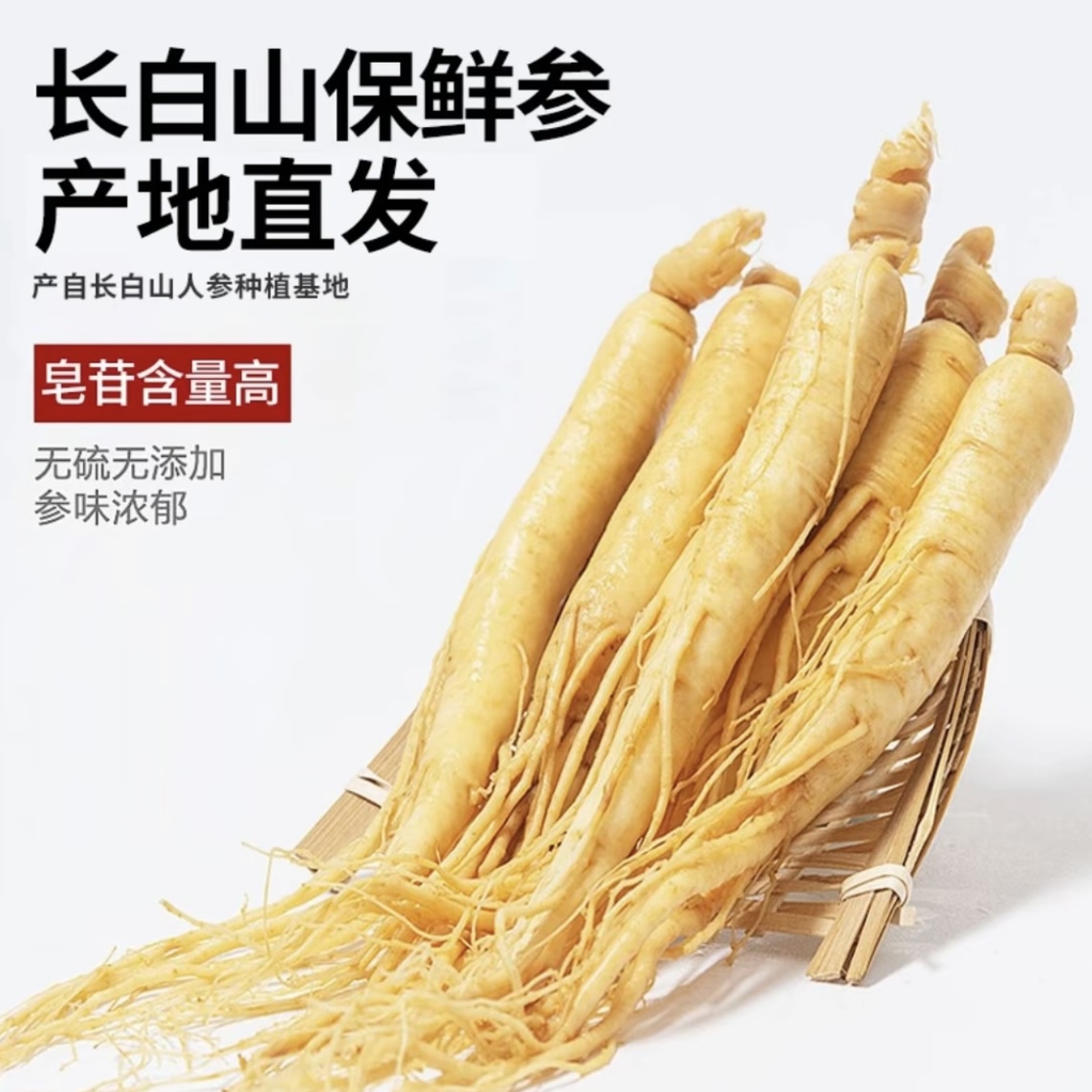 （新品福利）正宗长白山保鲜参煲汤煮粥泡酒火锅真空独立包装产地