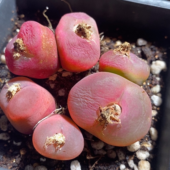 24116一组一组一组