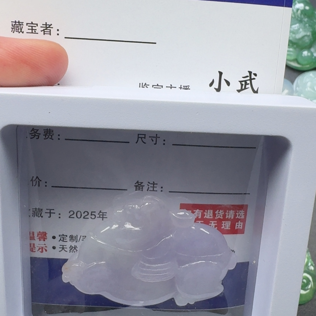 寶***️翡翠未镶嵌颈饰   40