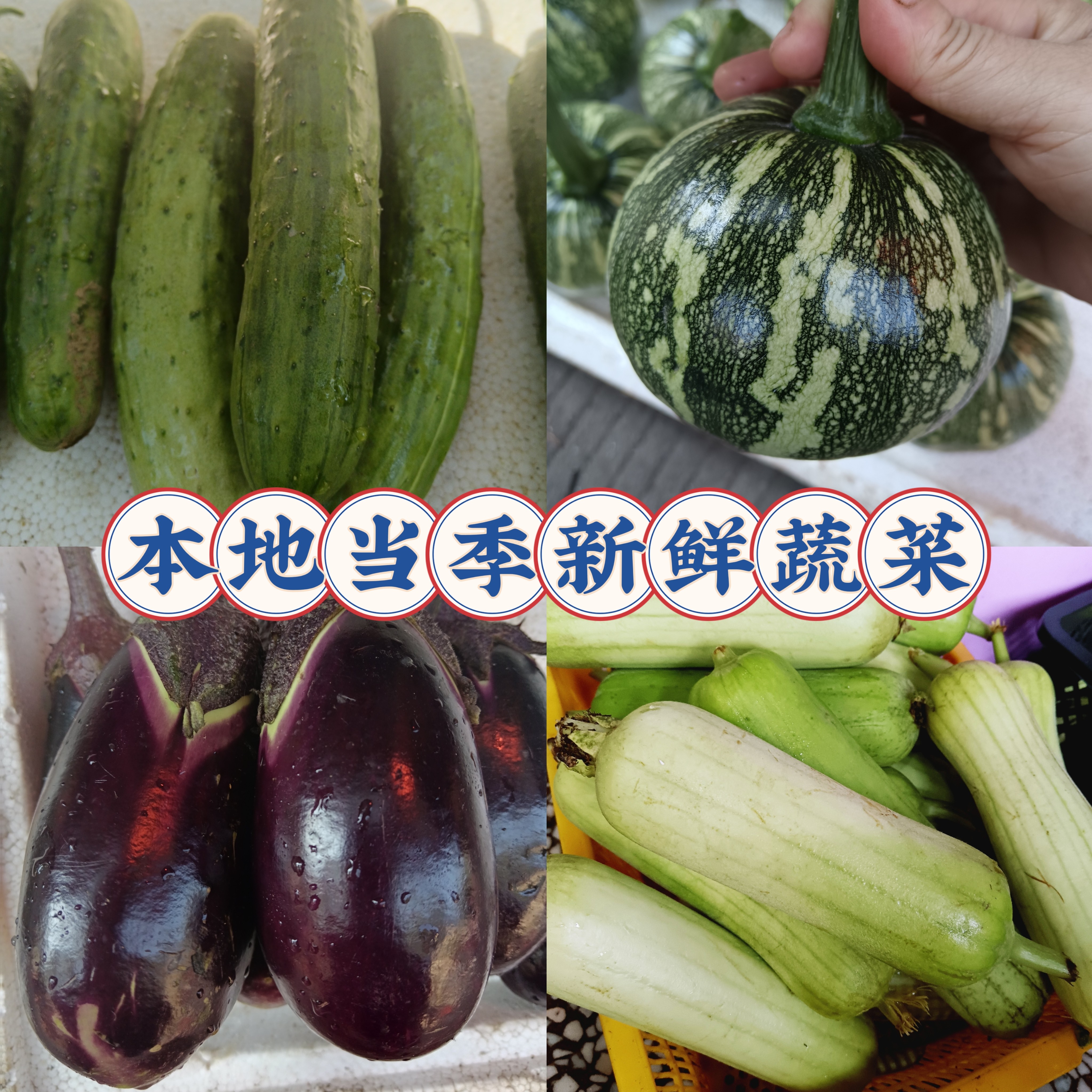 湖南衡东本地新鲜蔬菜包含茄子南瓜丝瓜豆角黄瓜