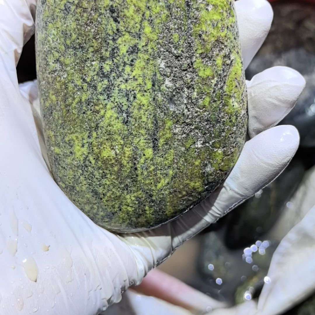 平***福藏玉药王石原石一个