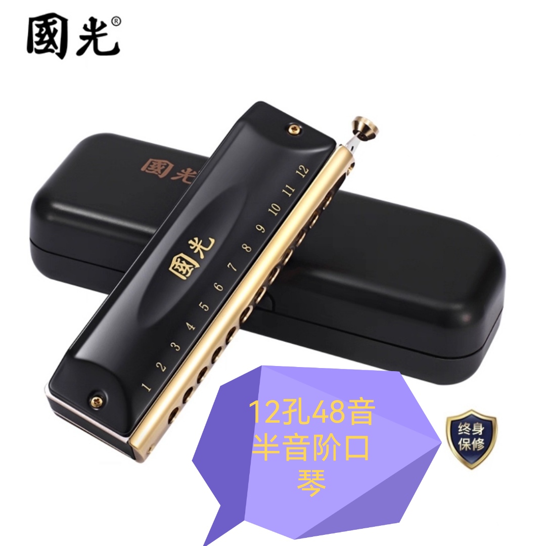 国之梦演奏级12孔48音16孔64音C调半音阶口琴专业通用演出便携