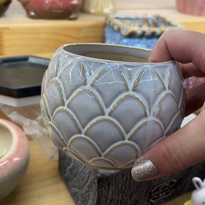 福利品。9.99包邮陶瓷花盆