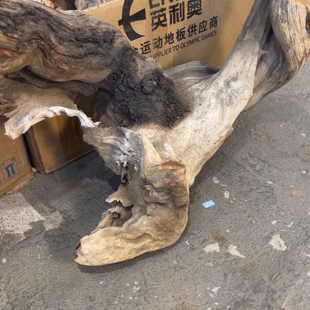柏木（崖柏）潇**生预定2.0五灵脂