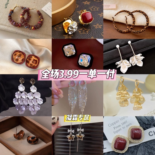 铜合金耳饰 【凝霜】2025秋冬新款时尚简约轻奢百搭耳饰气质耳环