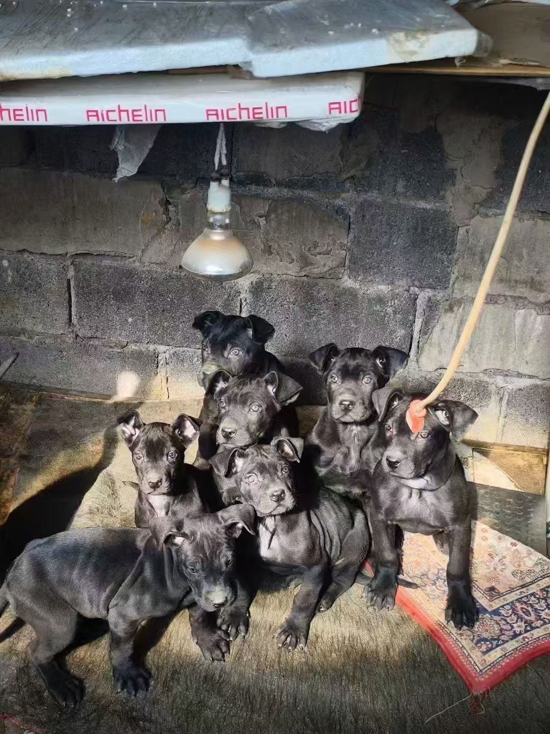 农耕文化园林景观大型庭院装饰雕塑