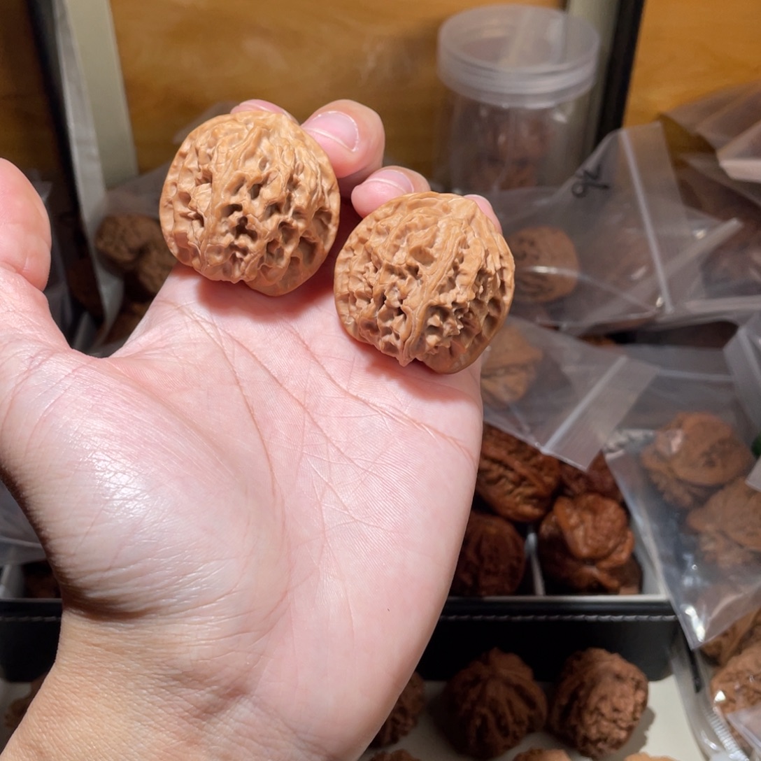 39尺寸全品无修苹果园