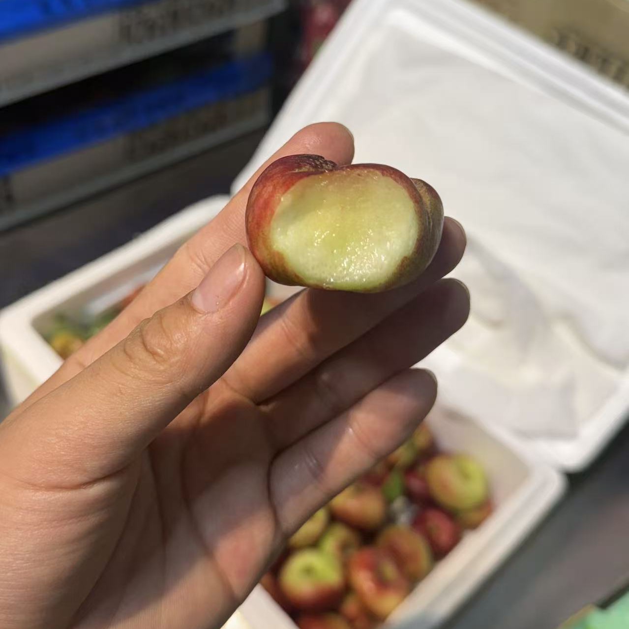 纽扣蟠桃2斤其他