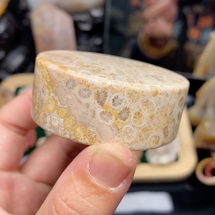 硅化珊瑚（珊瑚玉）手镯未镶嵌