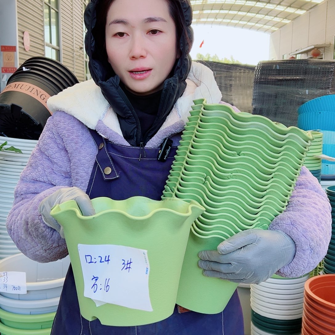 瑕疵荷叶盆3#果绿6个无托