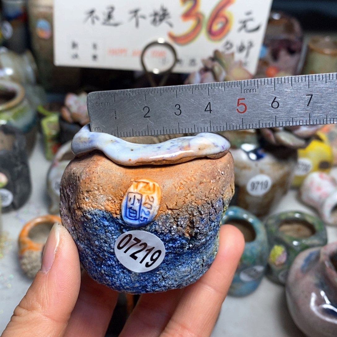 花盆拍3送一个小礼物