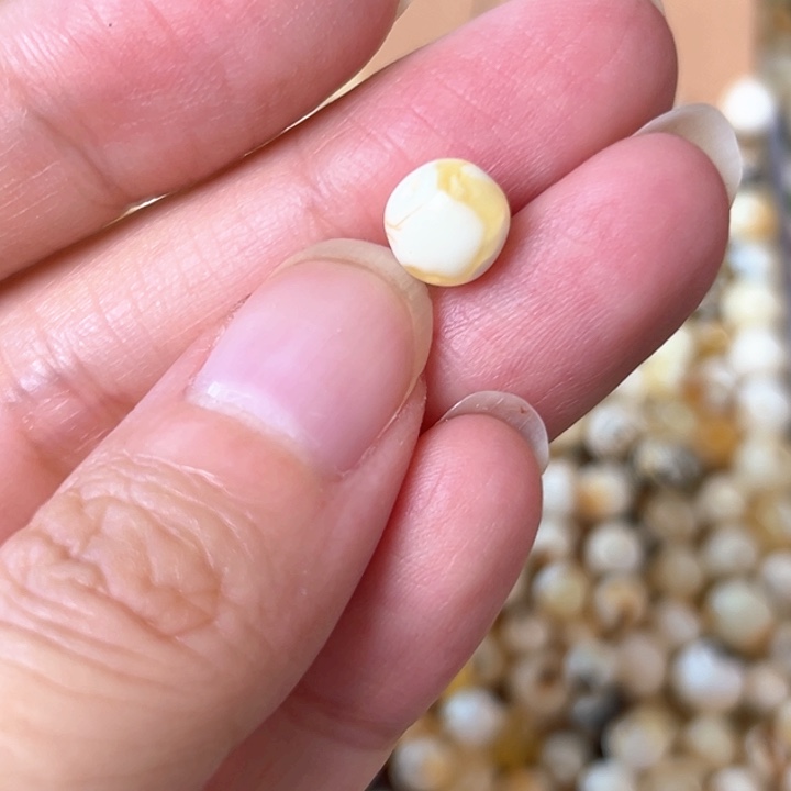 未镶嵌蜜蜡裸石7.7mm一个