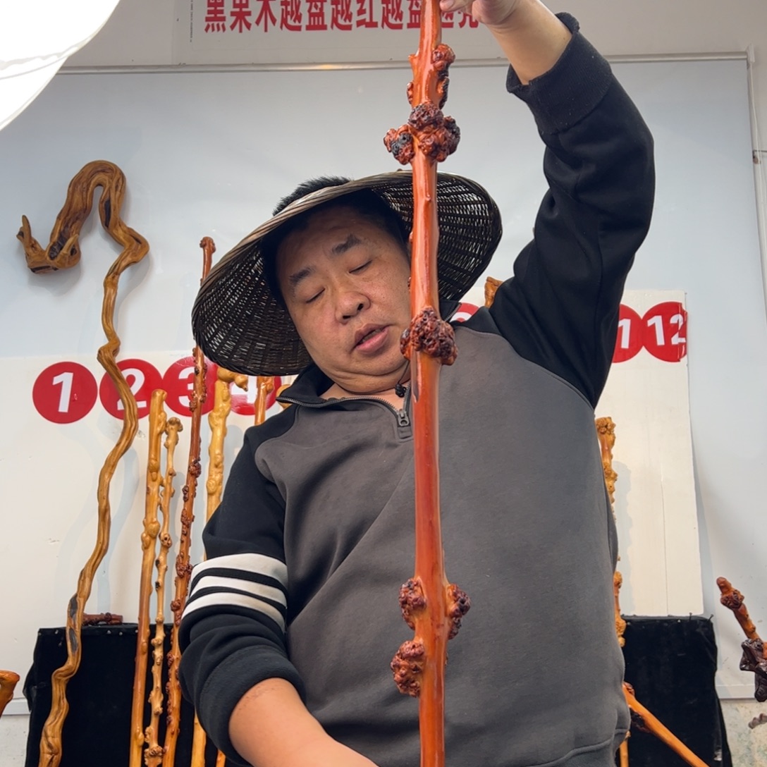 其他黑果木黑果木995