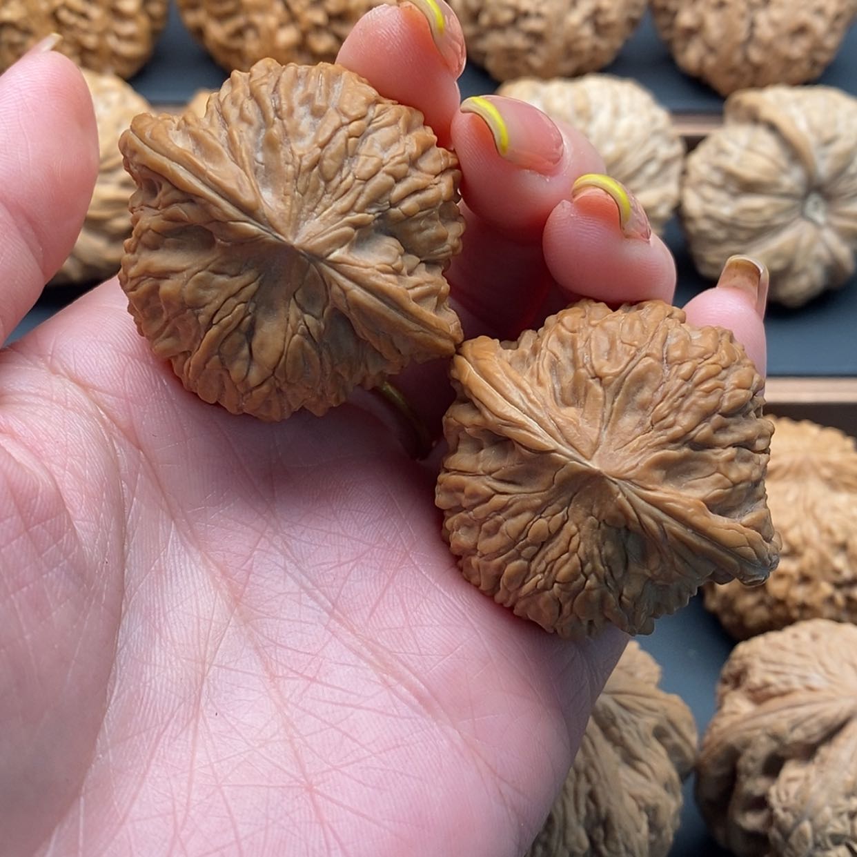 【闪购商品】文玩核桃把件磨盘40