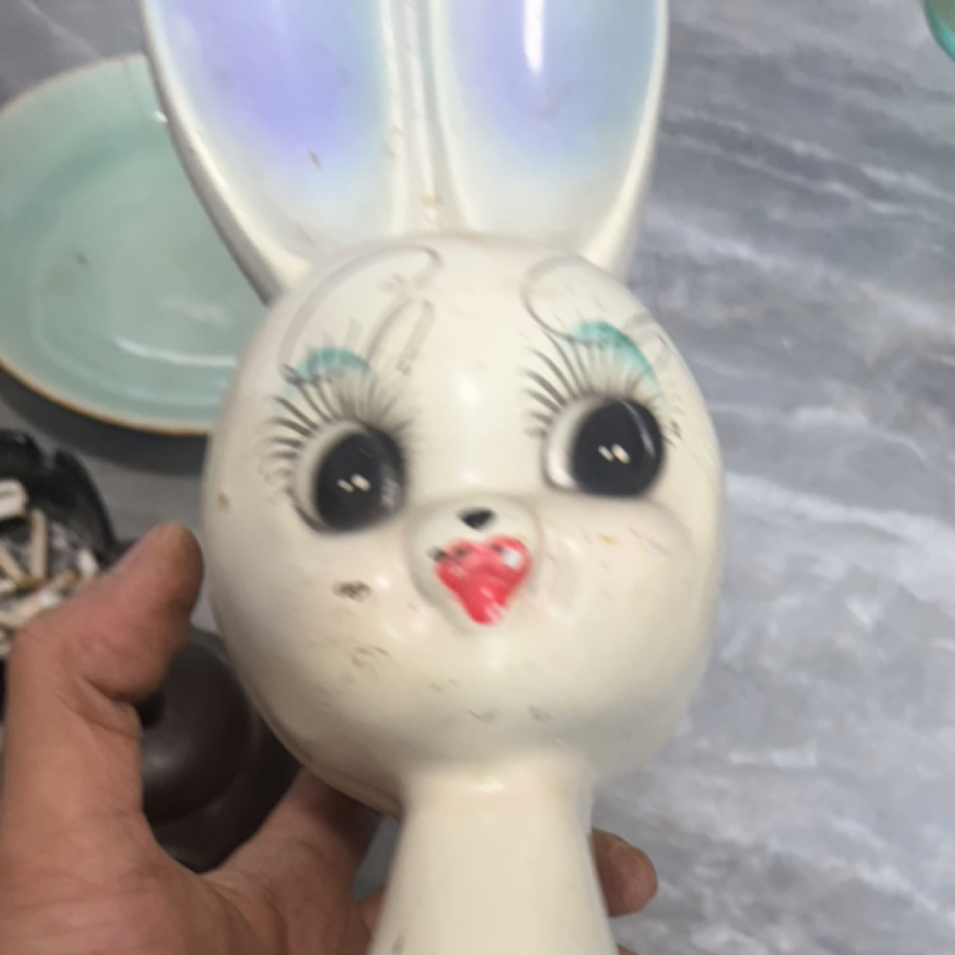 小兔子小兔子，白色