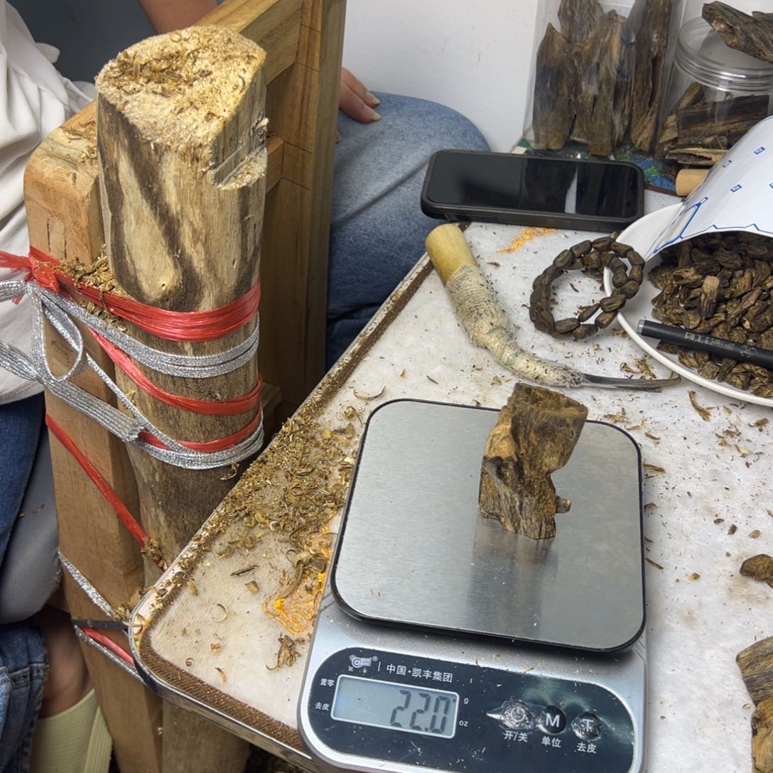 线香奇楠虫漏香22克