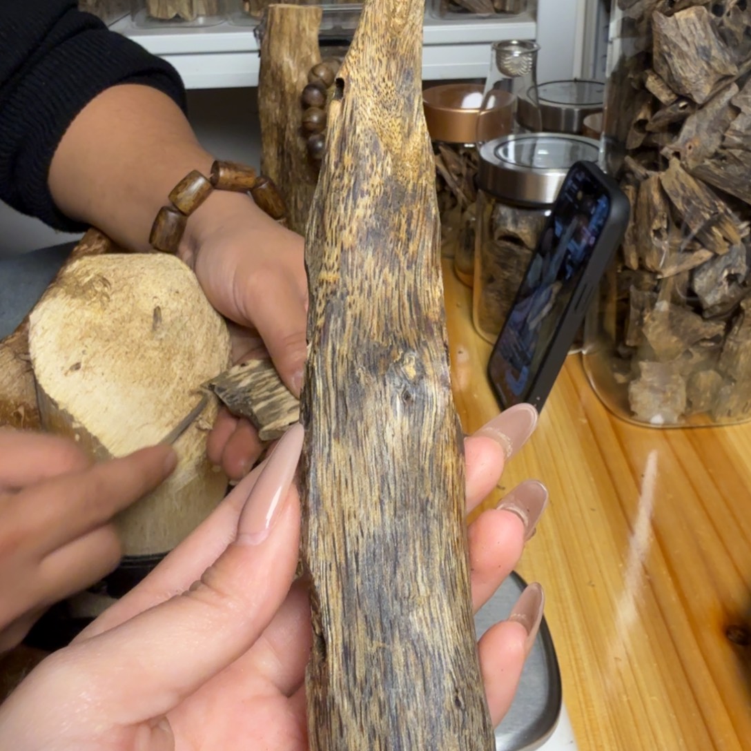 沉香白奇虫漏25克