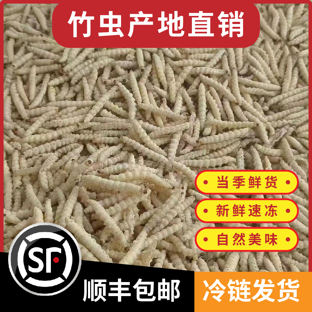 云南竹虫竹蛹竹笋虫新鲜速冻竹节虫油炸香酥美味下酒菜