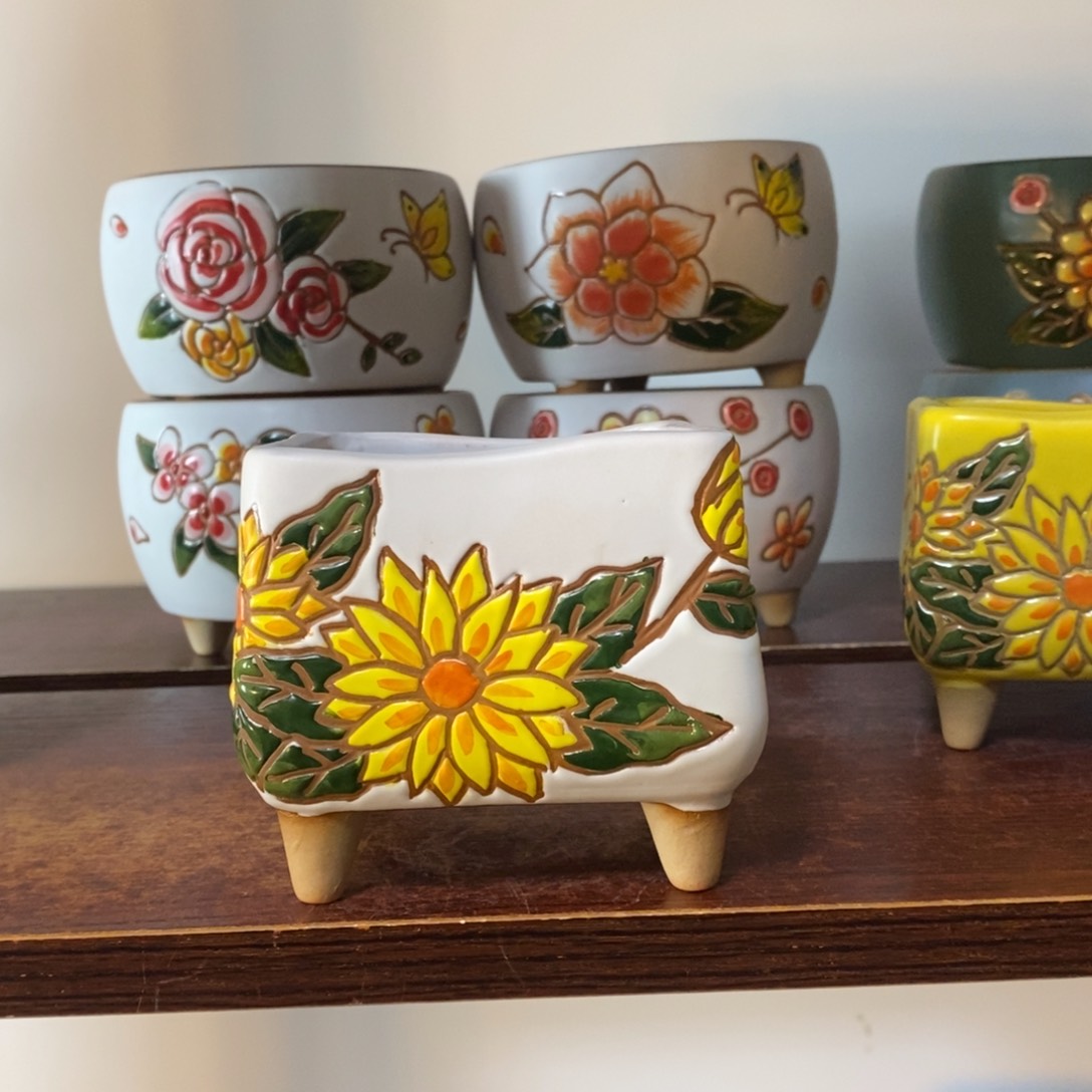 韩式多肉植物花盆