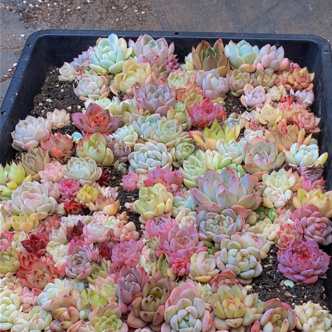 117多人在一起的时候我