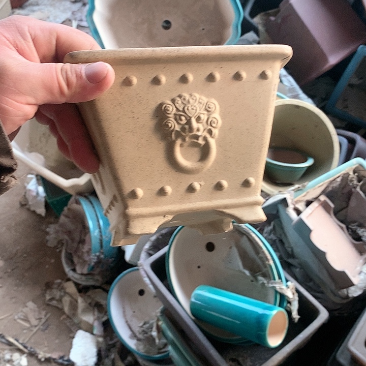 紫砂没有那么好吃我的人生也