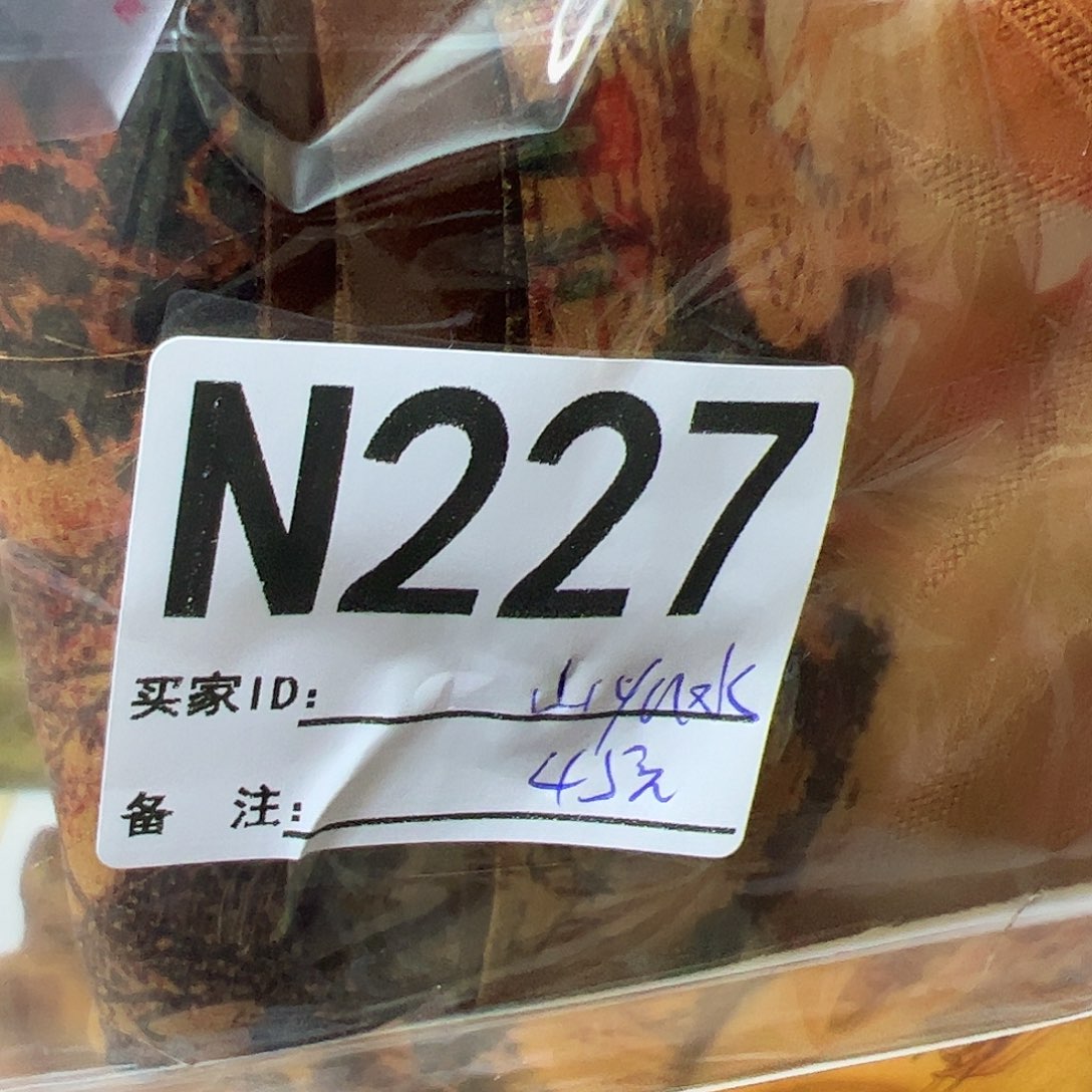 山***水227@cicibaninibini