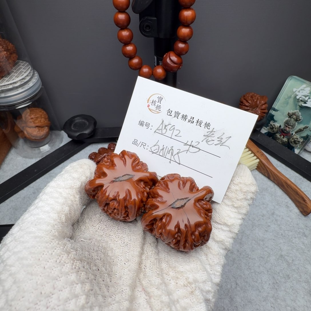 R****)白狮子文玩核桃43手把件