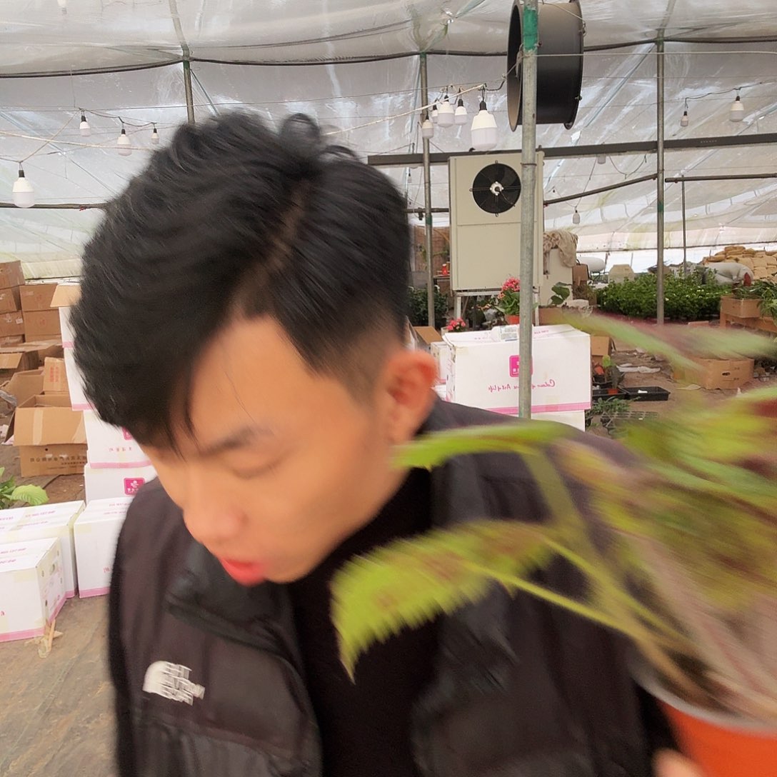 完全开放铁十字一棵