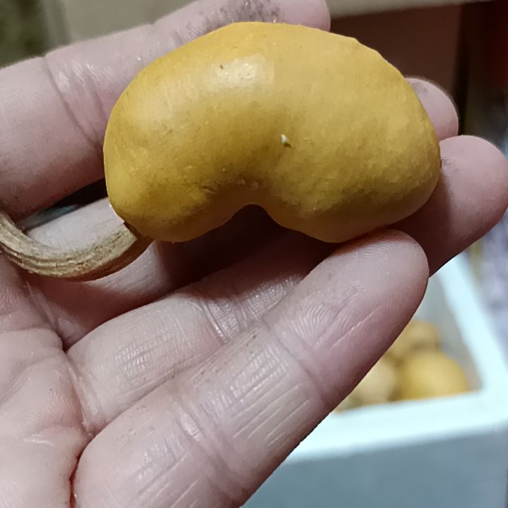 ?*澈葫芦葫芦葫芦葫芦葫芦葫芦