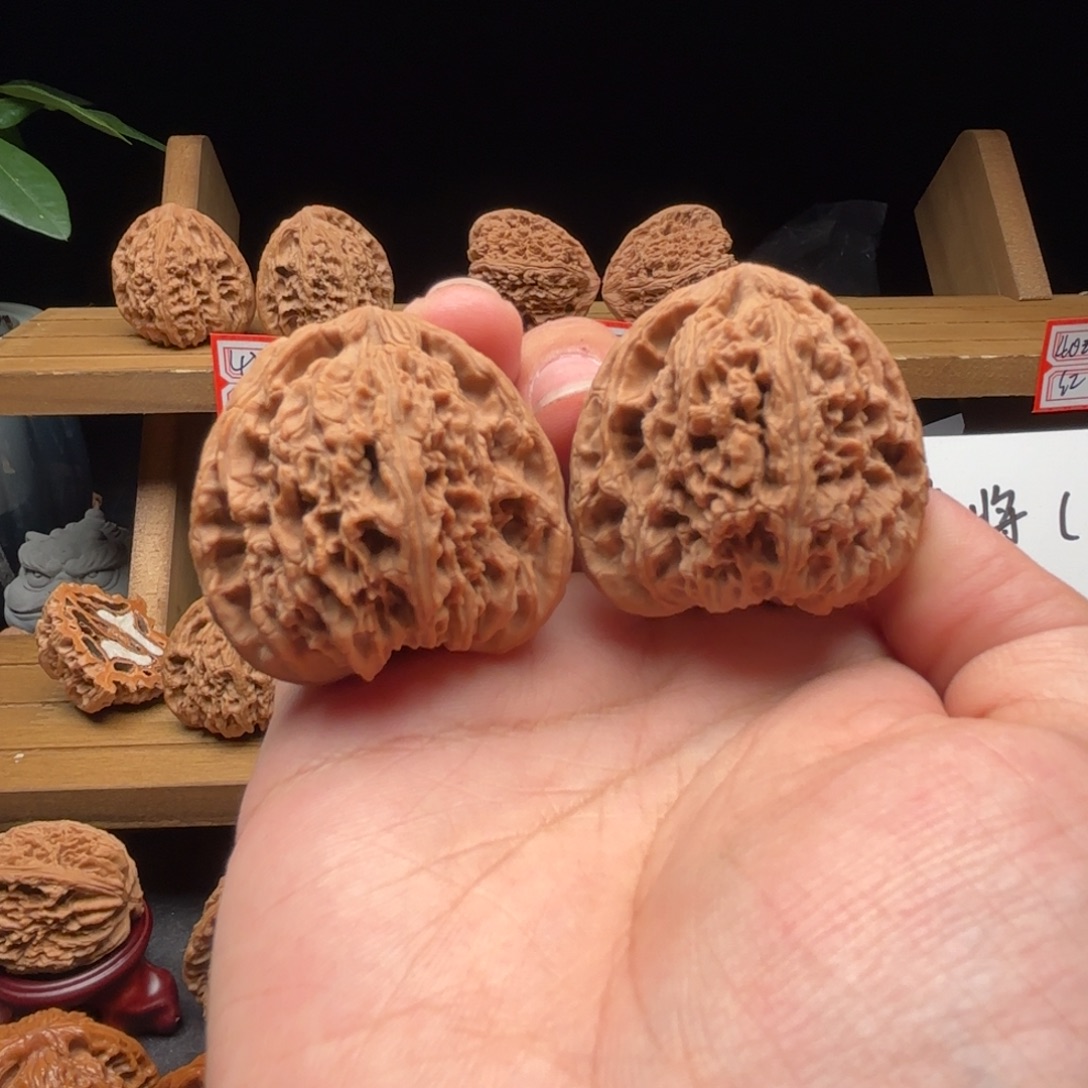 宗***秀核桃涿鹿南疆一代