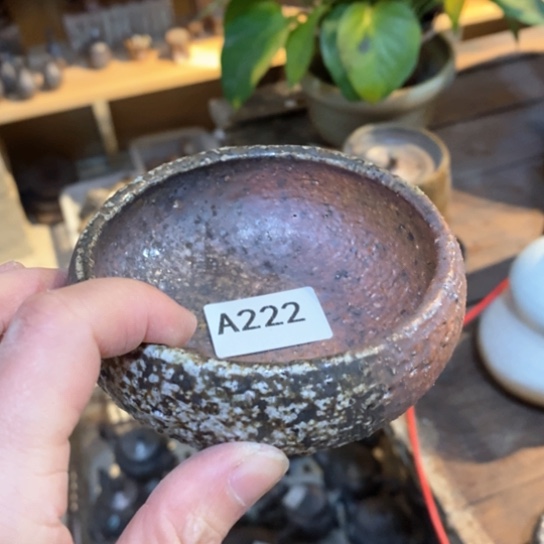 福利多多福利多多