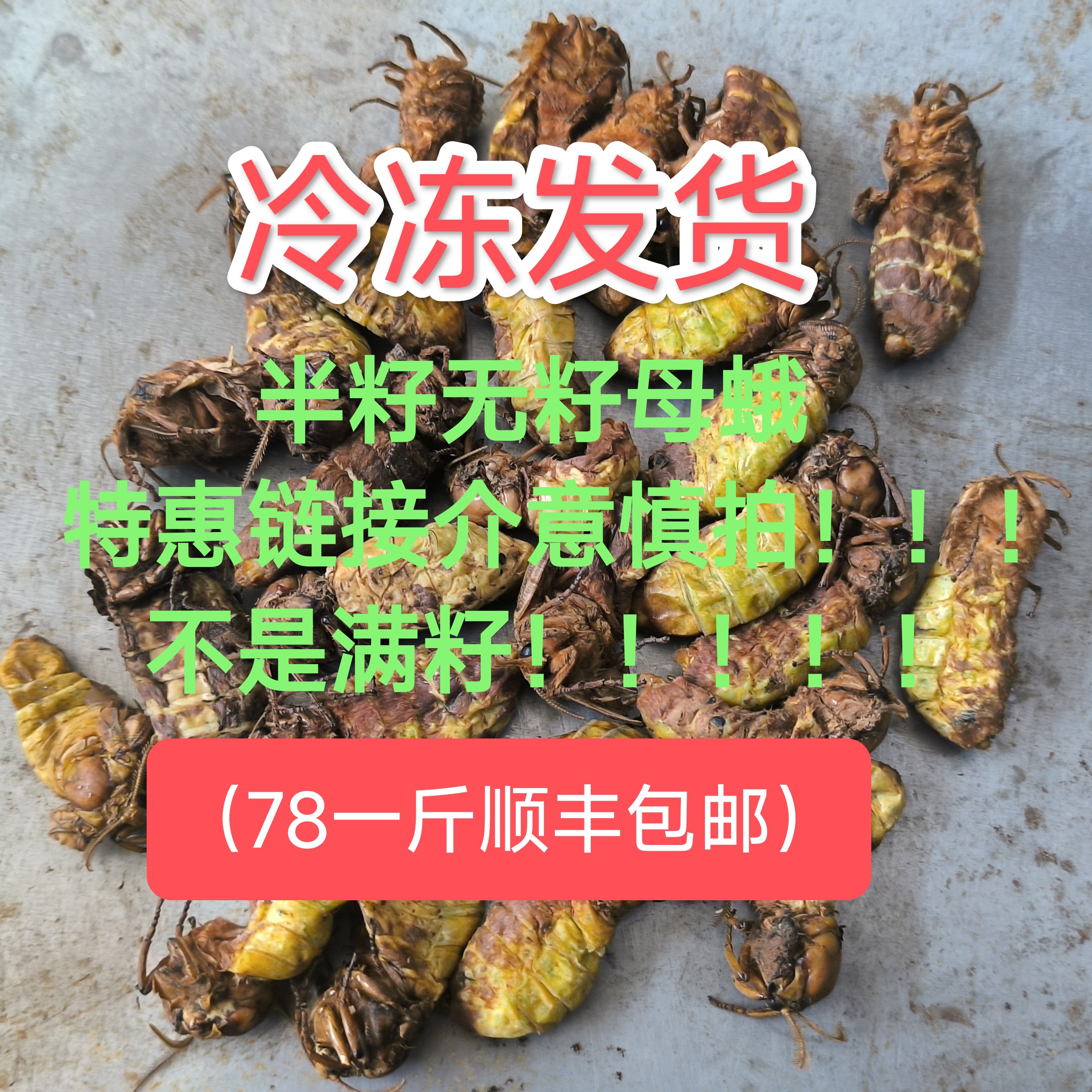 辽宁西丰县（蚕籽少籽母蛾特惠）一斤起包邮