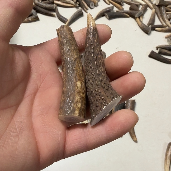 香榧木鹿角工艺品原料