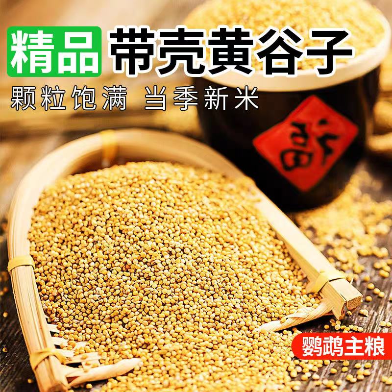 鹦鹉专用鸟粮带壳黄谷子