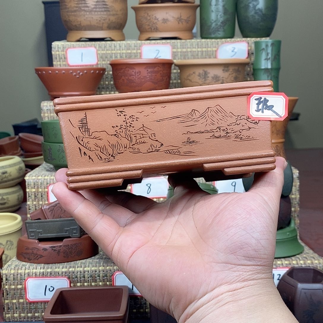 紫砂花盆我在等他