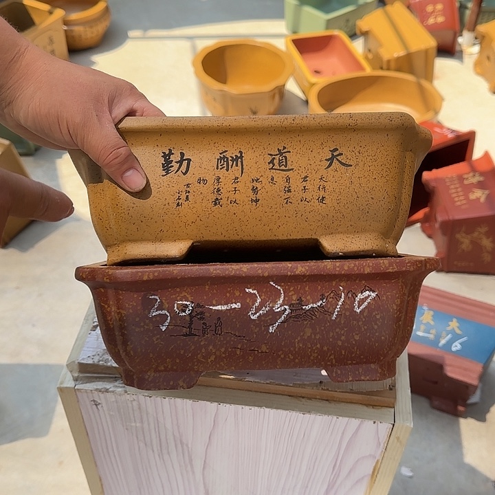 紫砂花盆这是我第一