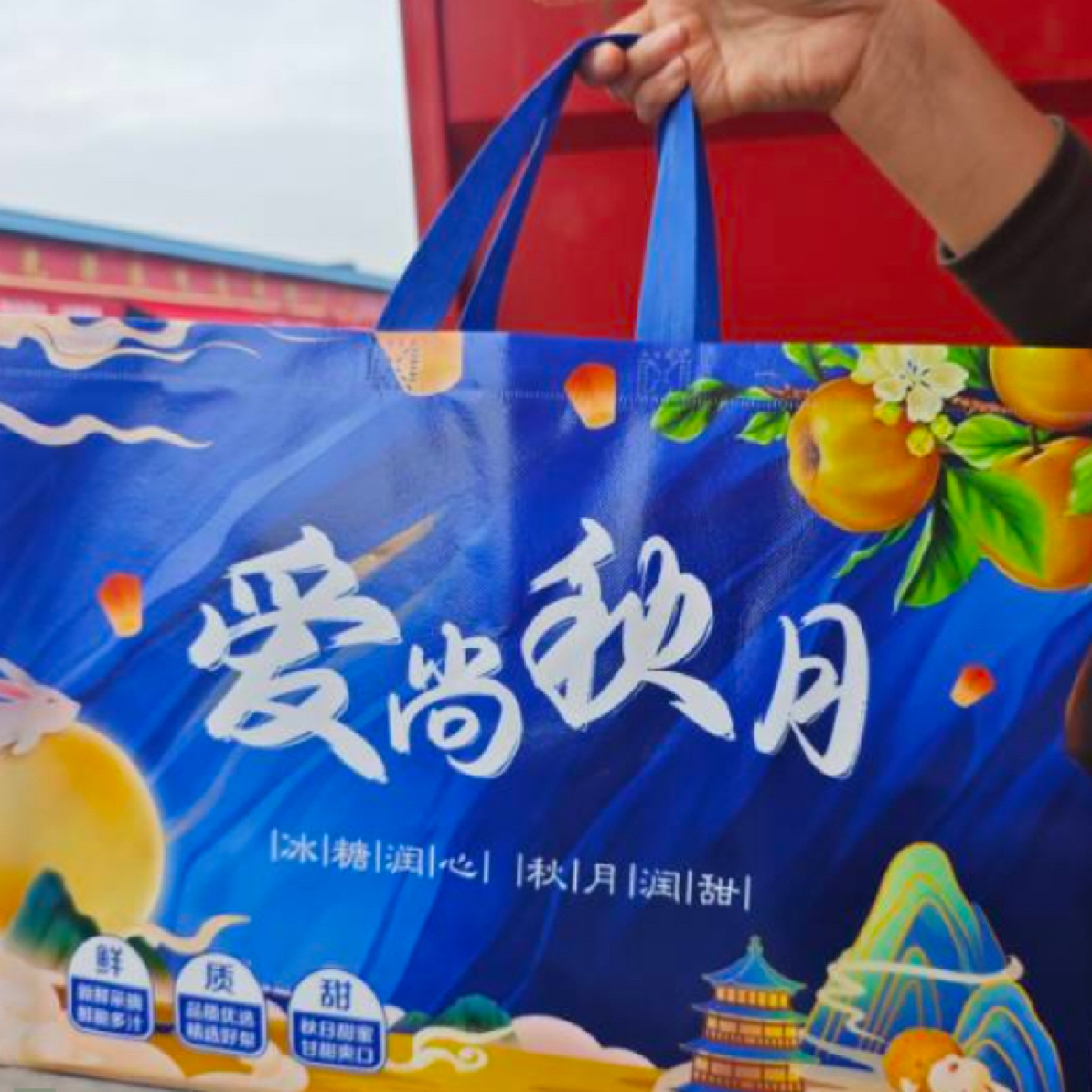 山东秋月梨礼盒装