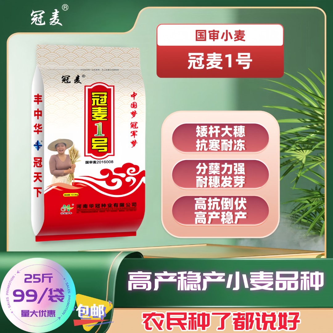 【国审冠麦1号】高产抗倒耐寒抗冻大穗分蘖强耐穗发芽小麦种