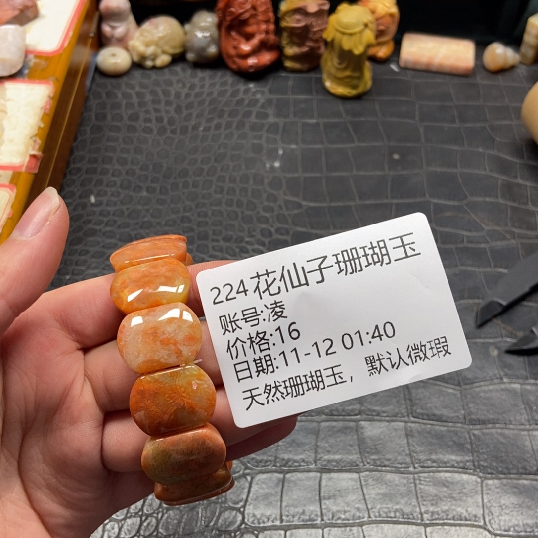 凌***硅化珊瑚（珊瑚玉）未镶嵌珠宝半成品224