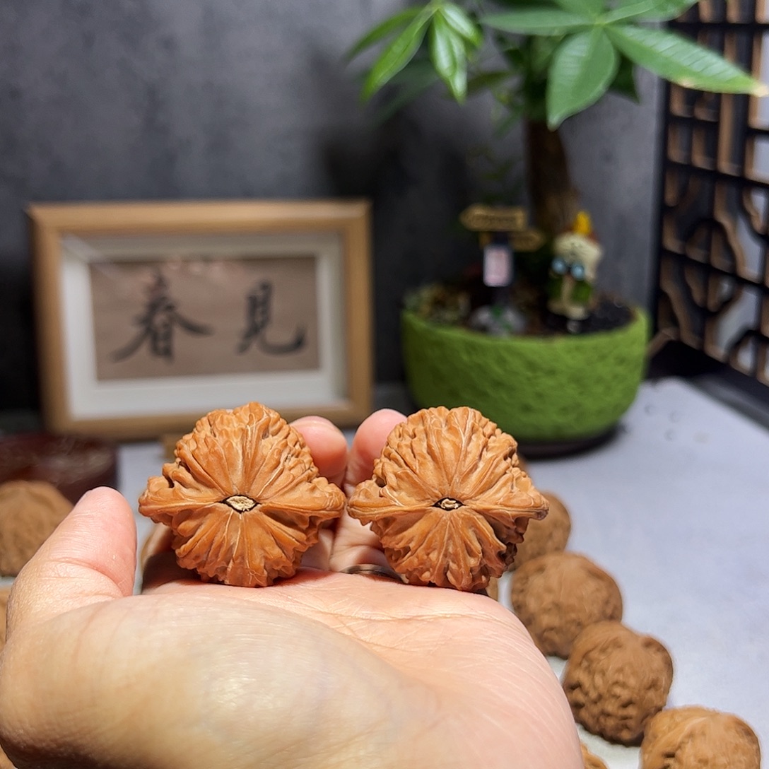 时***流核桃41房山一代山地磨皮全品