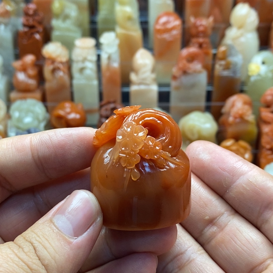 老挝石桃花           