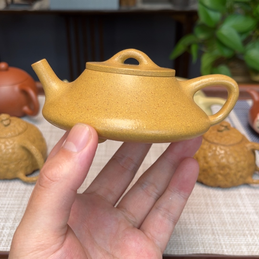 紫砂茶壶初**忘宜兴紫砂