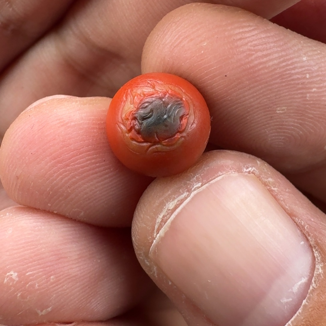 南红玛瑙包浆雕刻博古玄鸟10.1mm未镶嵌