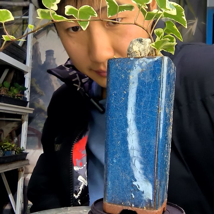 s**r中青园艺一物一拍花291