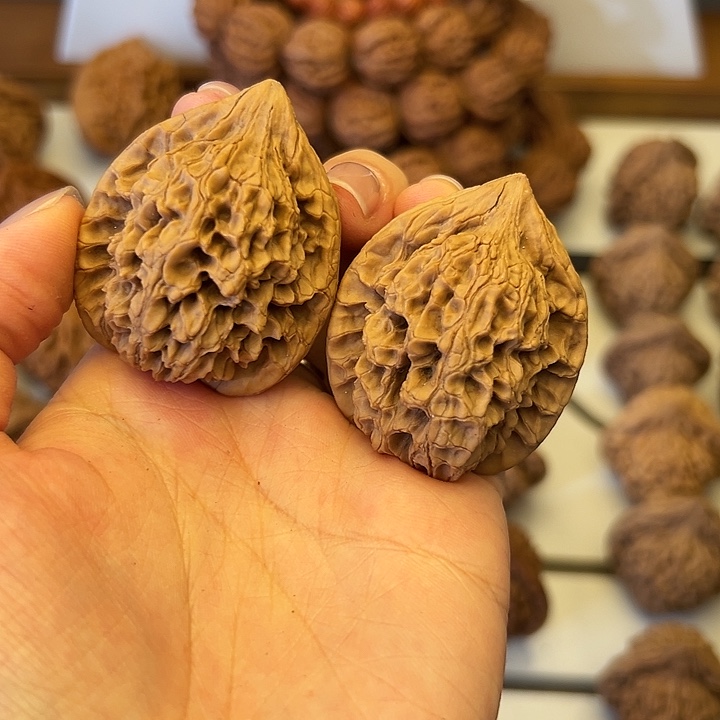 秦岭山脉的形成过程